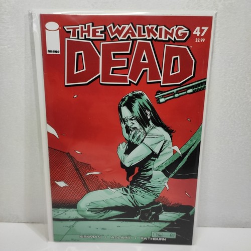 The walking dead image - walking,