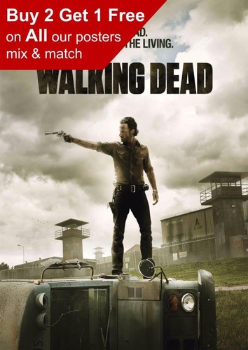 Poster stampa the walking - the, dead